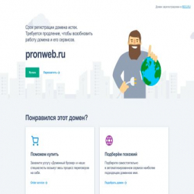 Скриншот главной страницы сайта pronweb.ru