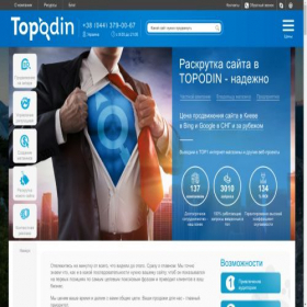 Скриншот главной страницы сайта topodin.com