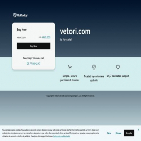 Скриншот главной страницы сайта vetori.com