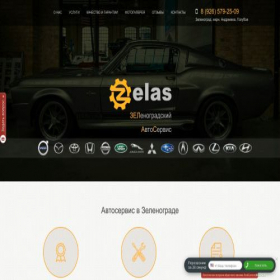 Скриншот главной страницы сайта zelas.ru