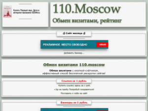 Скриншот главной страницы сайта 110.moscow