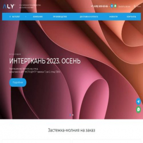 Скриншот главной страницы сайта alyzip.ru