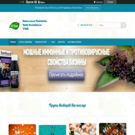 Скриншот главной страницы сайта ambez.com.ua