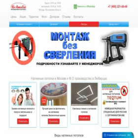 Скриншот главной страницы сайта ameliawork.ru