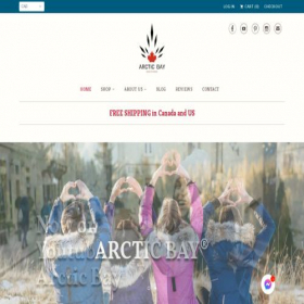 Скриншот главной страницы сайта arctic-bay.ca