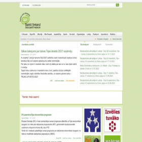 Скриншот главной страницы сайта baltic-ireland.ie