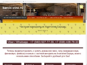 Скриншот главной страницы сайта barcic-vino.ru