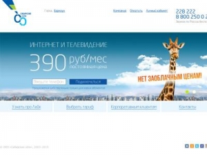 Скриншот главной страницы сайта barnaul.sibset.ru