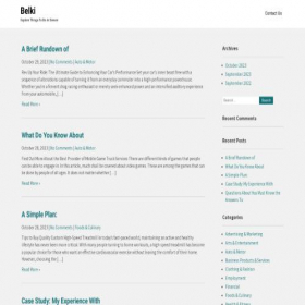 Скриншот главной страницы сайта belki.info