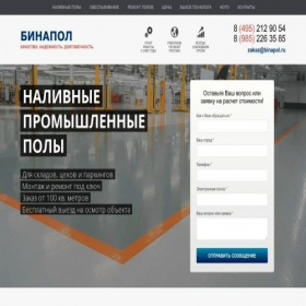Скриншот главной страницы сайта binapol.ru