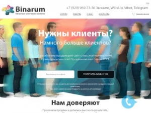 Скриншот главной страницы сайта binarum.ru