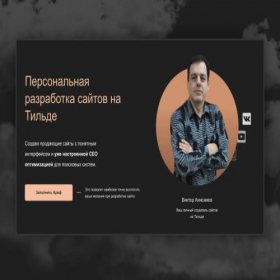 Скриншот главной страницы сайта bizvweb.ru