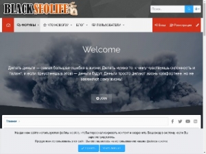 Скриншот главной страницы сайта blackseolife.com
