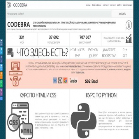 Скриншот главной страницы сайта codebra.ru