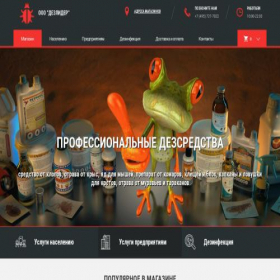 Скриншот главной страницы сайта disleader.ru