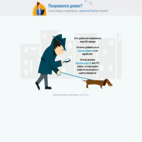 Скриншот главной страницы сайта dominstrumenta.ru