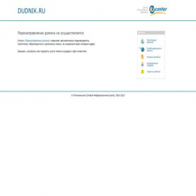 Скриншот главной страницы сайта dudnik.ru