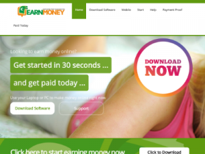 Скриншот главной страницы сайта earnmoney.network