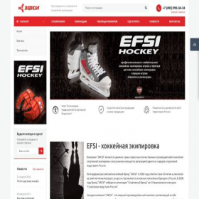 Скриншот главной страницы сайта efsi.ru
