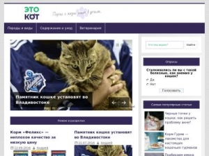 Скриншот главной страницы сайта etokot.ru