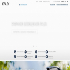 Скриншот главной страницы сайта faldi.ru