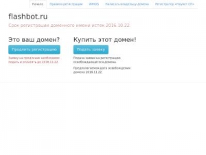 Скриншот главной страницы сайта flashbot.ru