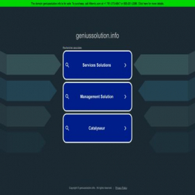 Скриншот главной страницы сайта geniussolution.info