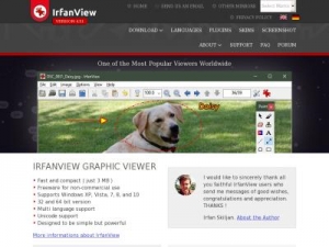 Скриншот главной страницы сайта irfanview.com