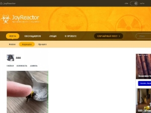 Скриншот главной страницы сайта joyreactor.ru