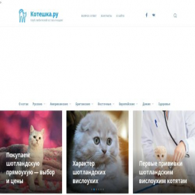 Скриншот главной страницы сайта koteshka.ru