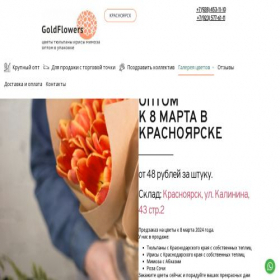 Скриншот главной страницы сайта kras.my-tulip.ru