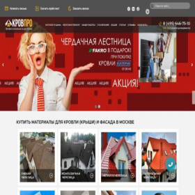 Скриншот главной страницы сайта krovpro.ru