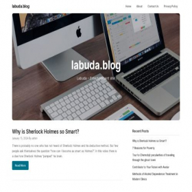 Скриншот главной страницы сайта labuda.blog