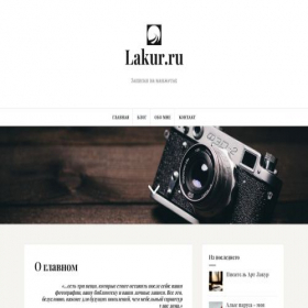 Скриншот главной страницы сайта lakur.ru