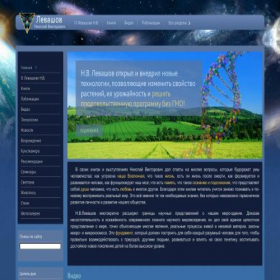 Скриншот главной страницы сайта levash.ru