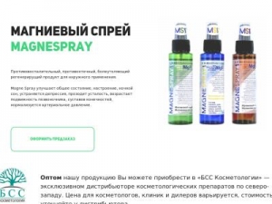Скриншот главной страницы сайта magnespray.ru