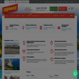 Скриншот главной страницы сайта mgpdv.ru