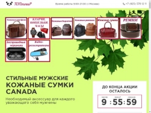Скриншот главной страницы сайта mos-bags-88.ru