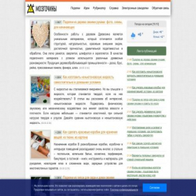 Скриншот главной страницы сайта mozgochiny.ru