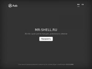 Скриншот главной страницы сайта mr-shell.ru