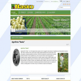 Скриншот главной страницы сайта nasko.ua