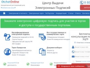 Скриншот главной страницы сайта otchetonline.ru