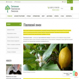 Скриншот главной страницы сайта pavlovolimon.ru