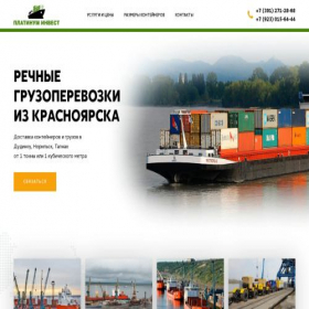 Скриншот главной страницы сайта platinum-invest.ru