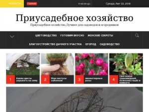 Скриншот главной страницы сайта priusadebnoehozaystvogroup.ru
