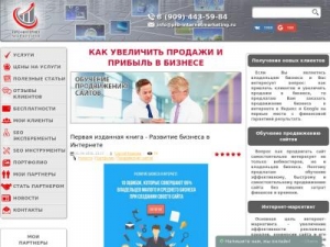 Скриншот главной страницы сайта pro-internetmarketing.ru