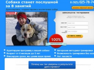 Скриншот главной страницы сайта problemdog.ru