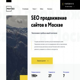 Скриншот главной страницы сайта profitseo.ru