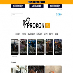 Скриншот главной страницы сайта prokoni.ru