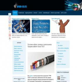 Скриншот главной страницы сайта prom-sn.ru